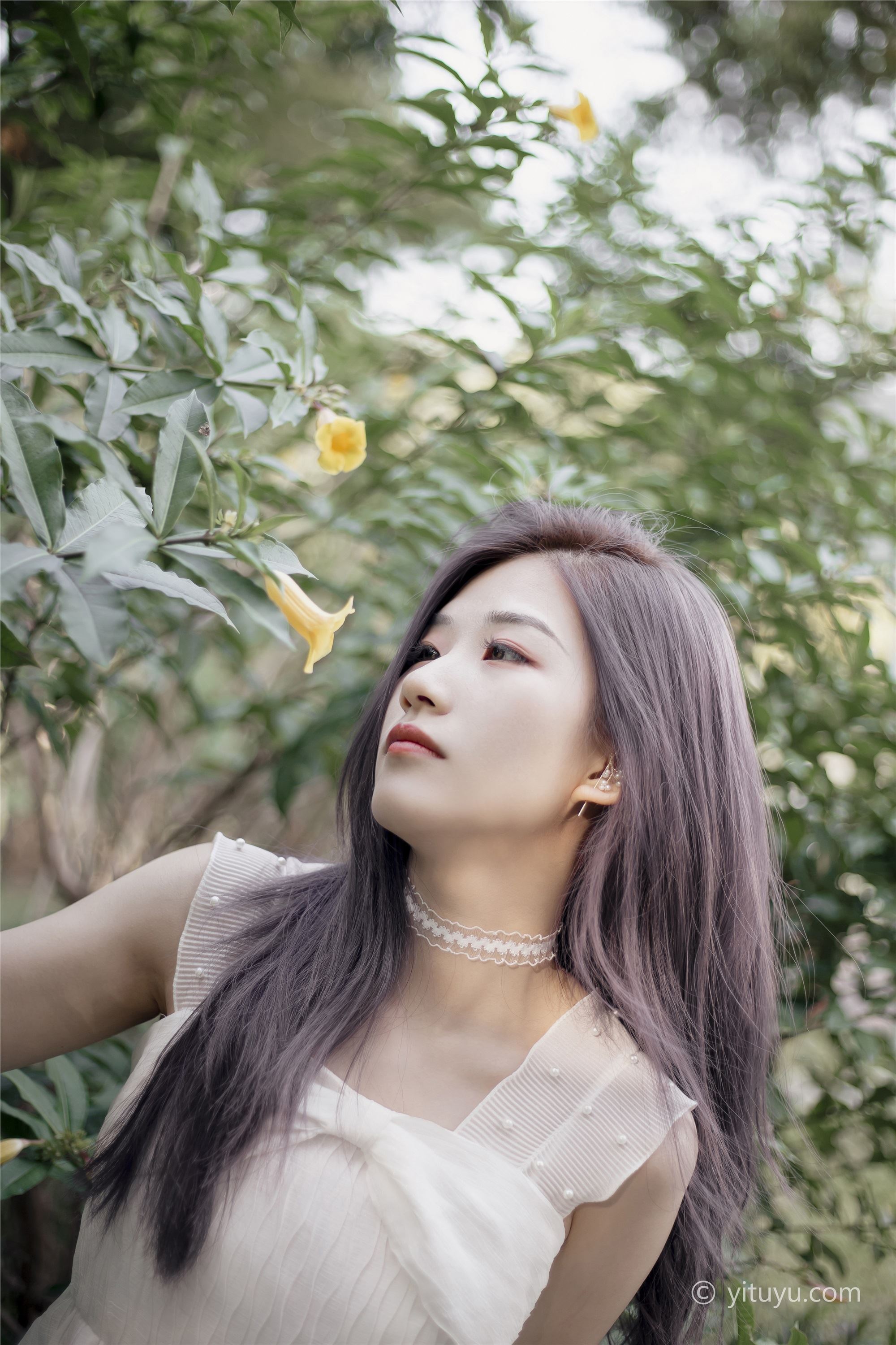 YITUYU艺图语  2021.06.07 清风淡花香